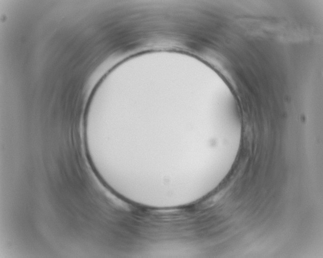 X0000074971343200609291928