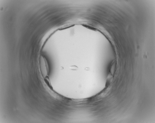 X0000074971344200609291928