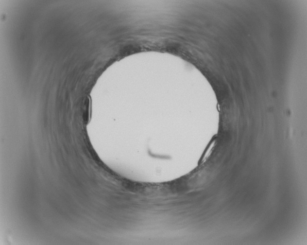 X0000074971345200609291928