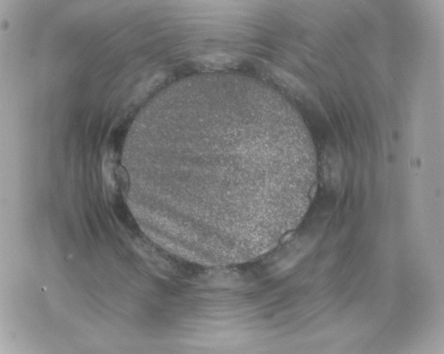 X0000074971346200609291928