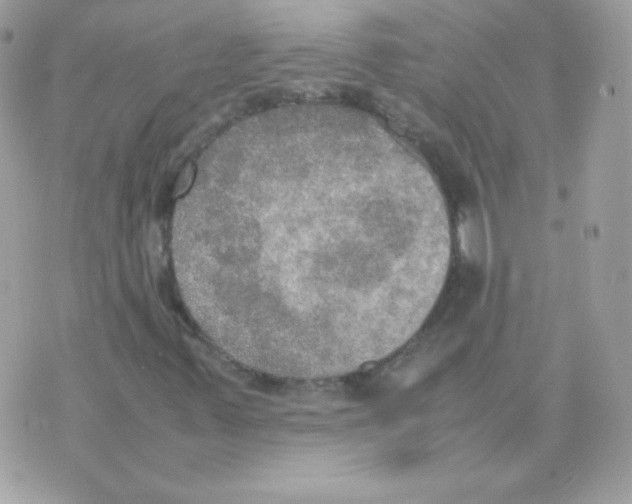 X0000074971347200609291928