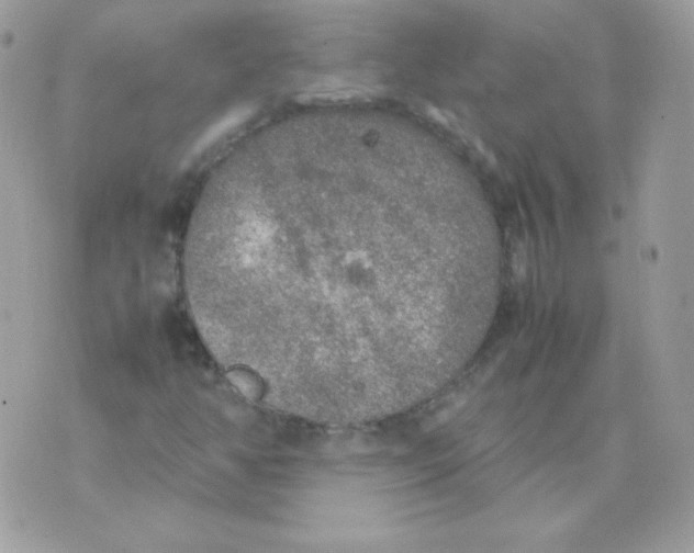 X0000074971350200609291928