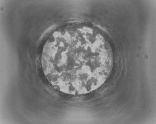 X0000074971351200609291927