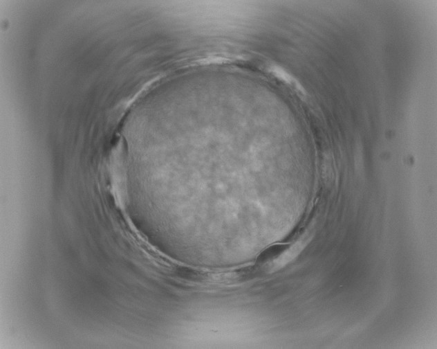 X0000074971353200609291927