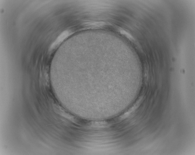 X0000074971354200609291927