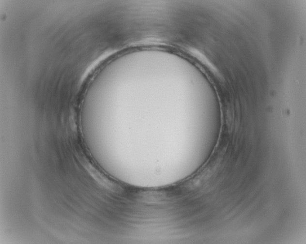 X0000074971356200609291927