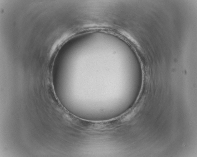 X0000074971357200609291927