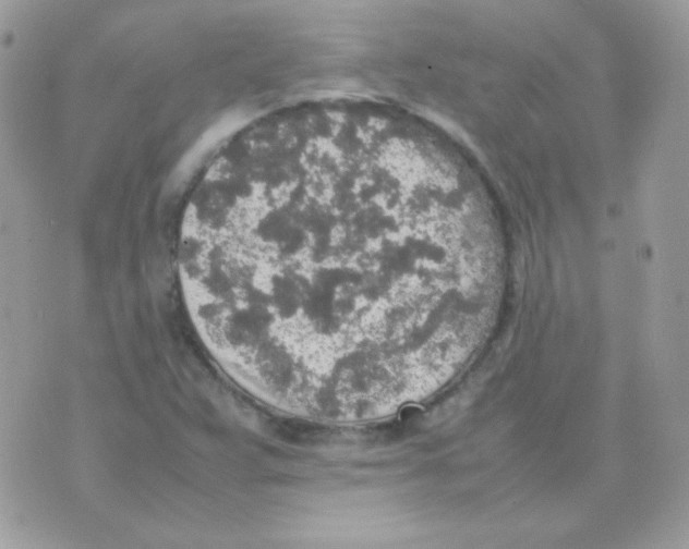 X0000074971359200609291927