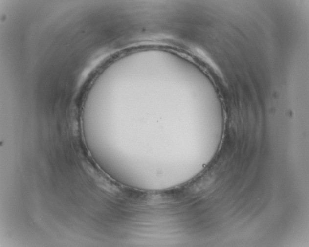 X0000074971360200609291927