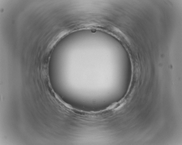 X0000074971361200609291927