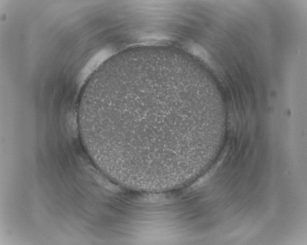 X0000074971362200609291927