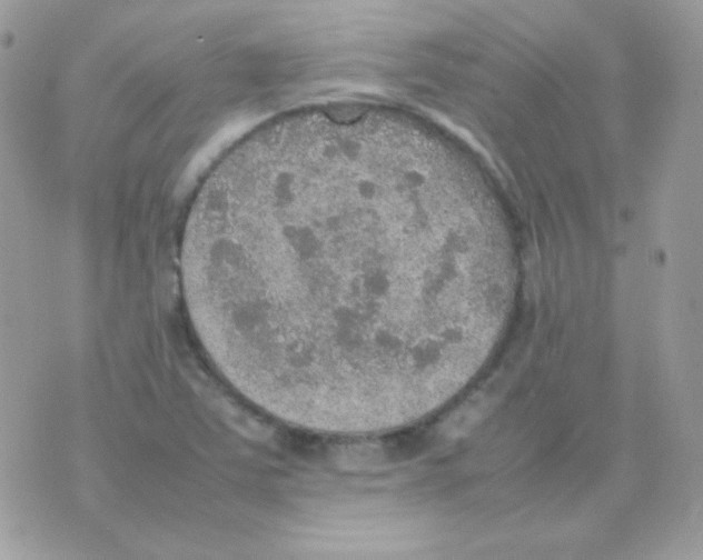 X0000074971363200609291927