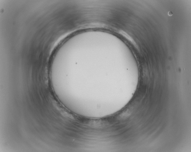 X0000074971364200609291927