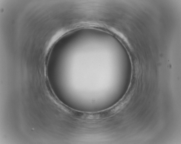 X0000074971365200609291927