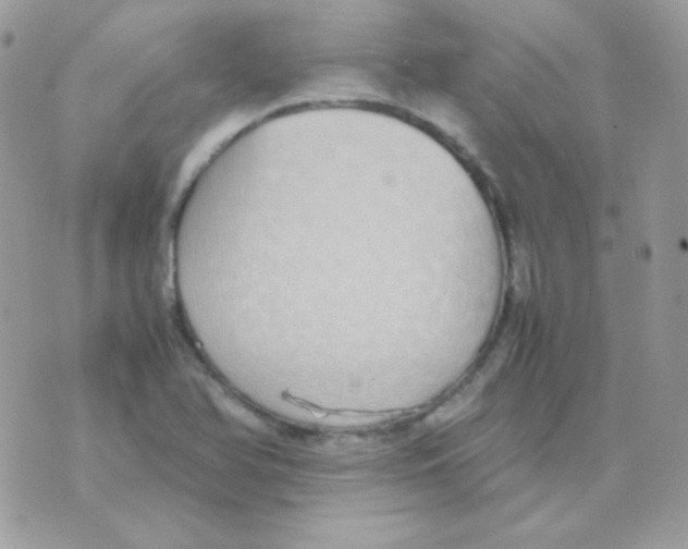 X0000074971366200609291927