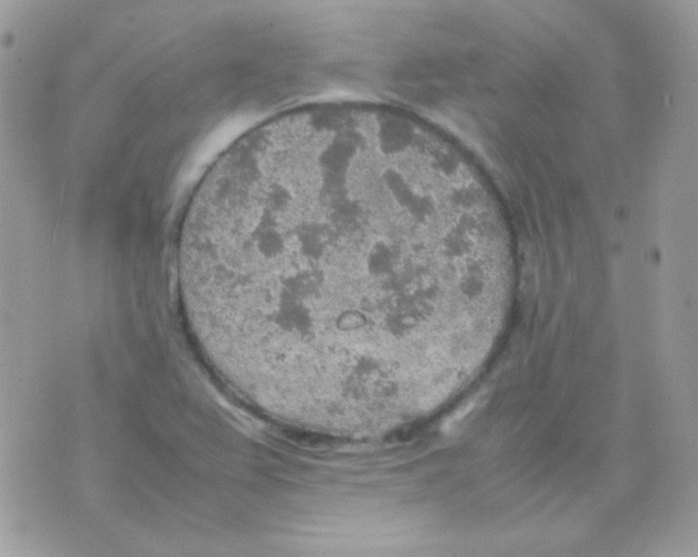 X0000074971367200609291927