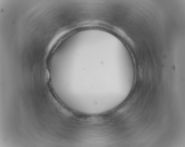 X0000074971368200609291927