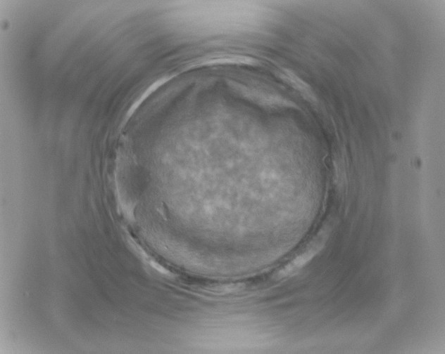 X0000074971369200609291927