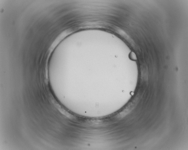 X0000074971370200609291927