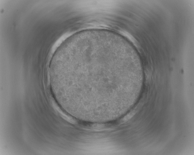 X0000074971371200609291927