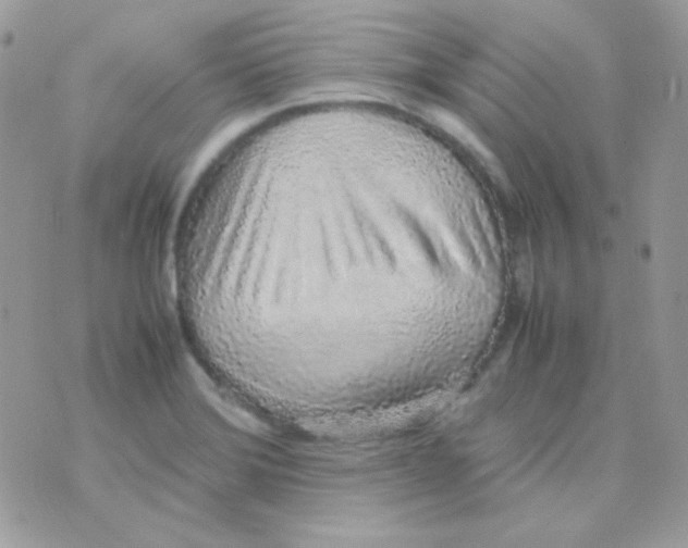 X0000074971372200609291927