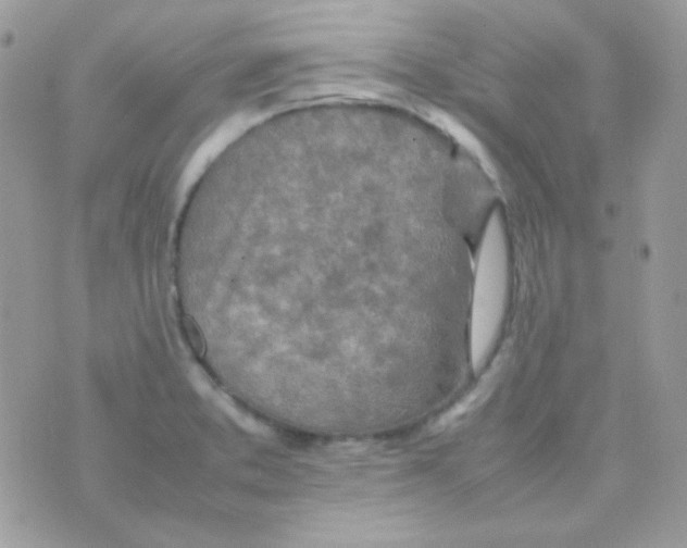 X0000074971373200609291927