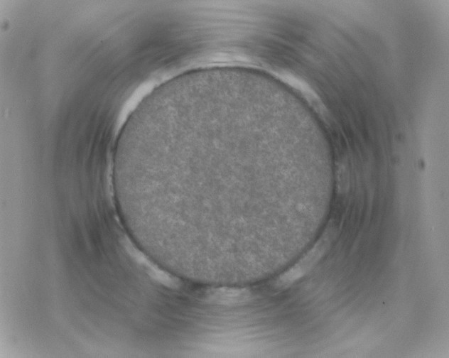 X0000074971374200609291927