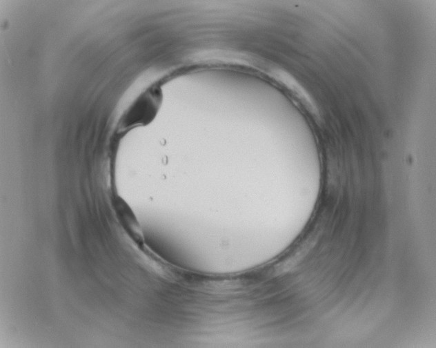 X0000074971376200609291927