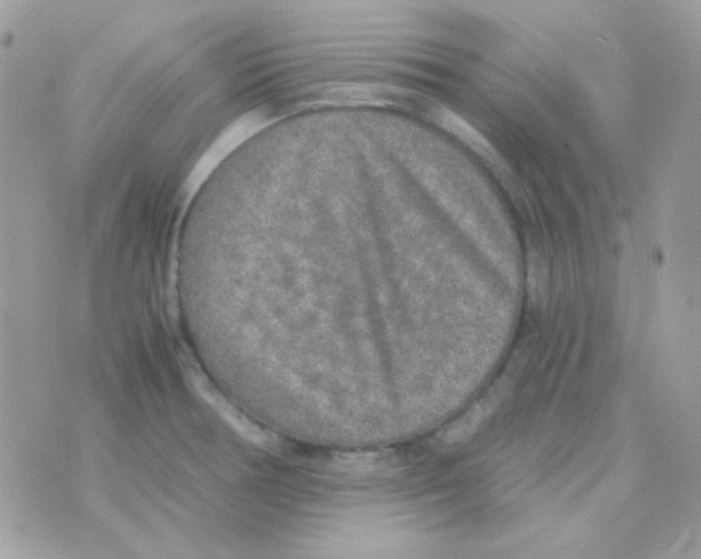 X0000074971378200609291927