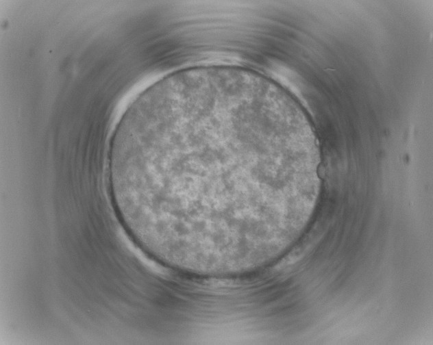 X0000074971379200609291927