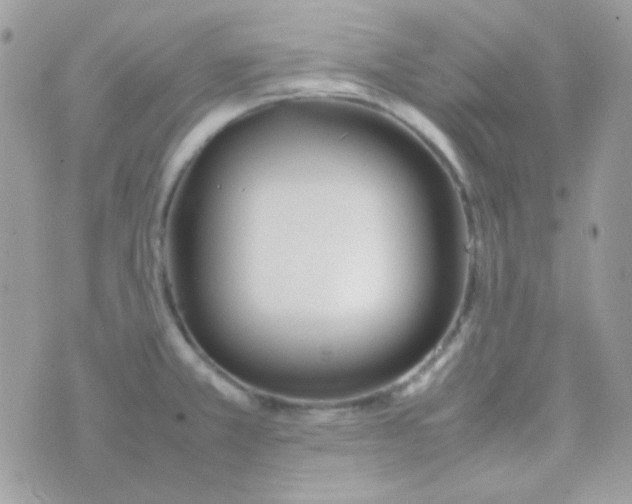 X0000074971381200609291927