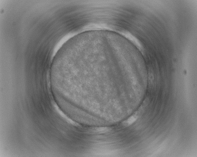 X0000074971382200609291927