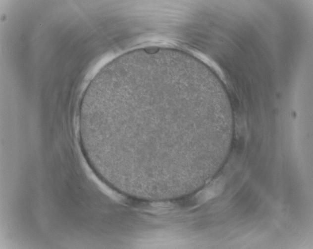 X0000074971383200609291927