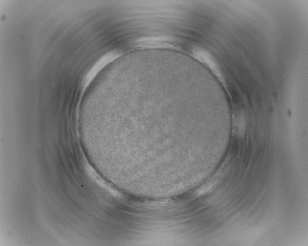 X0000074971386200609291927