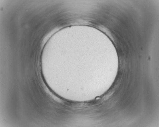 X0000074971387200609291927