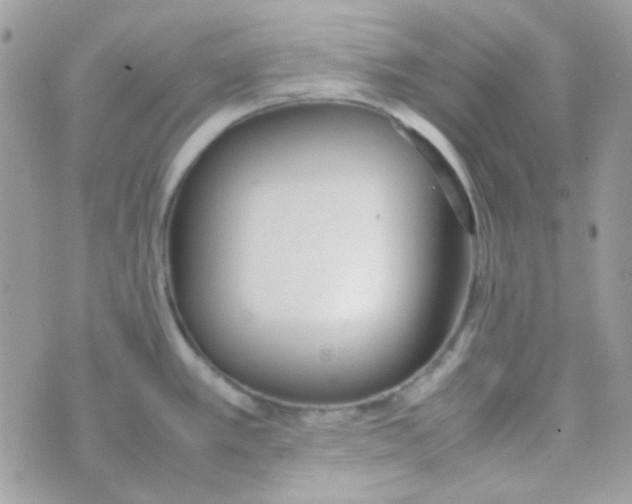 X0000074971389200609291927