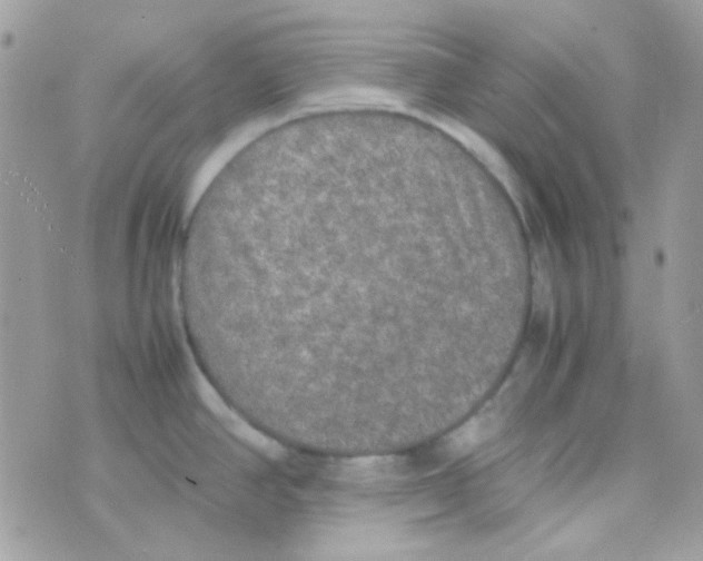 X0000074971390200609291927