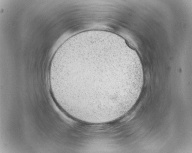 X0000074971391200609291927