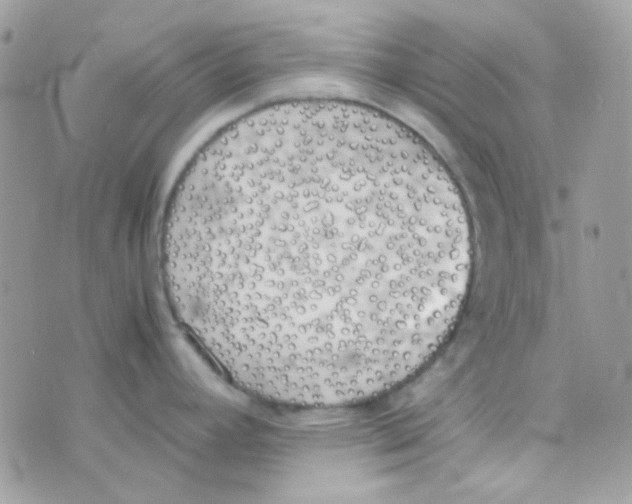 X0000074971392200609291927