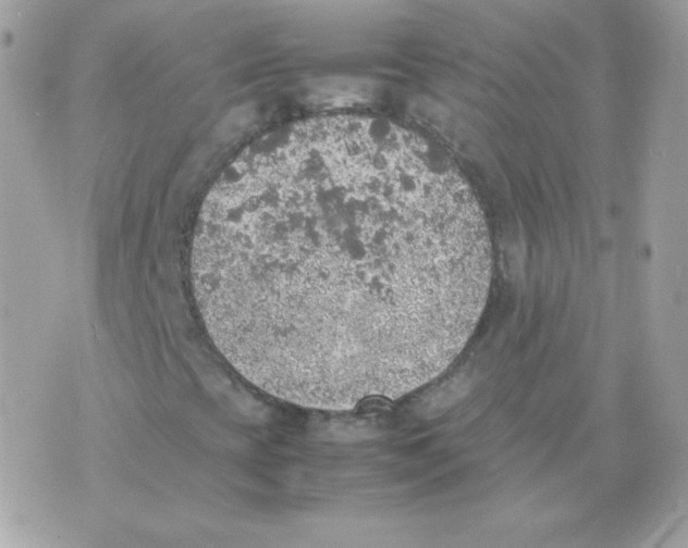 X0000074971393200609291926