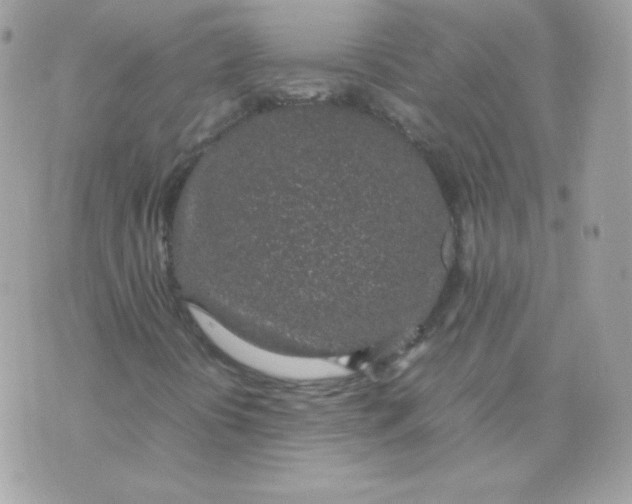 X0000074971394200609291926