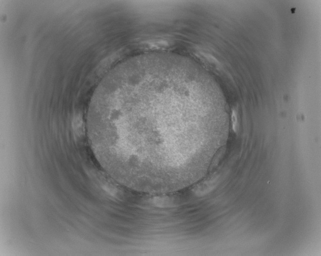 X0000074971395200609291926