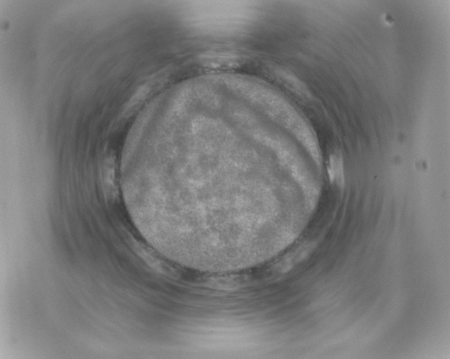 X0000074971396200609291926