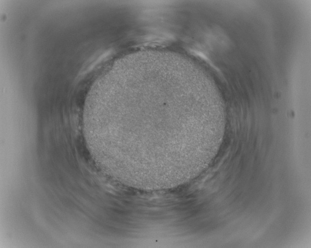 X0000074971399200609291926