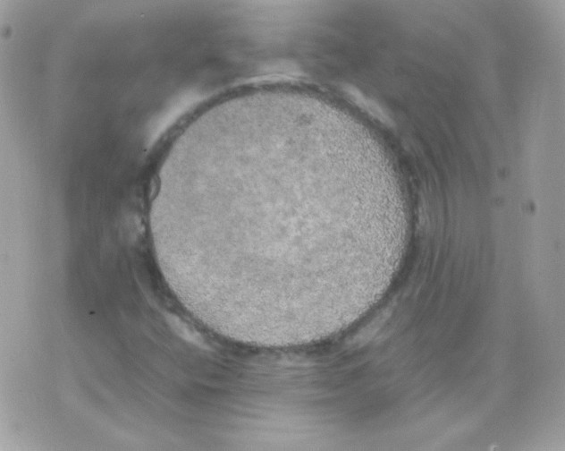 X0000074971400200609291926