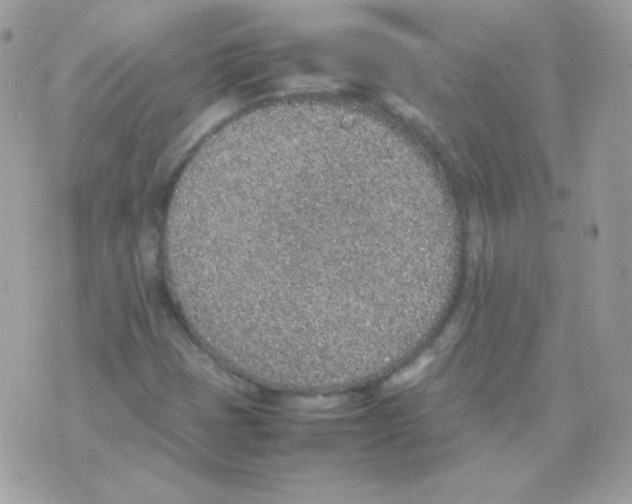 X0000074971401200609291926