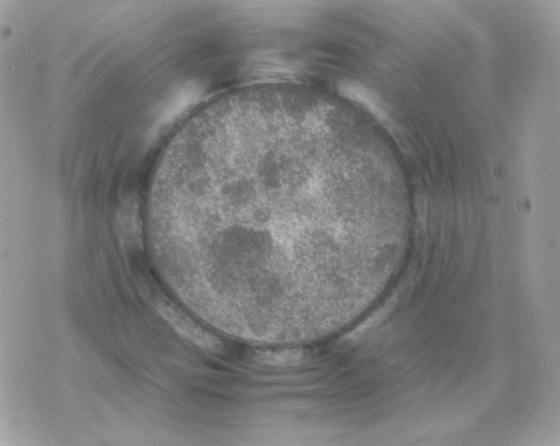 X0000074971403200609291926