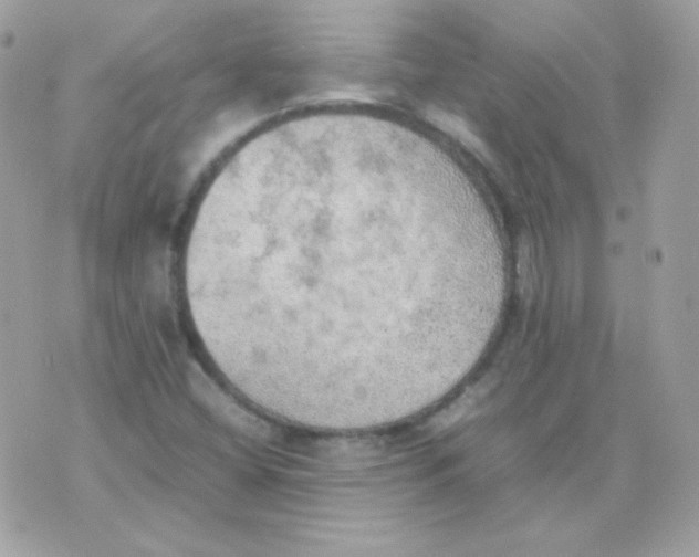 X0000074971404200609291926