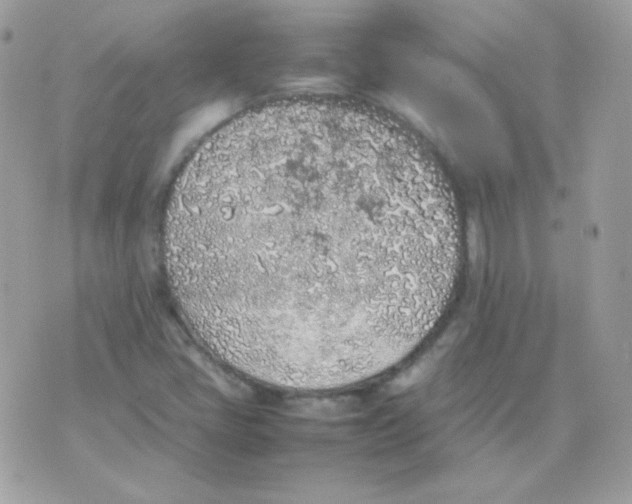 X0000074971405200609291926