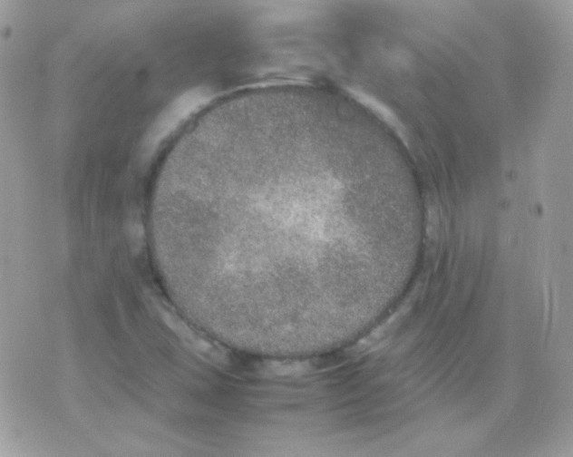 X0000074971407200609291926